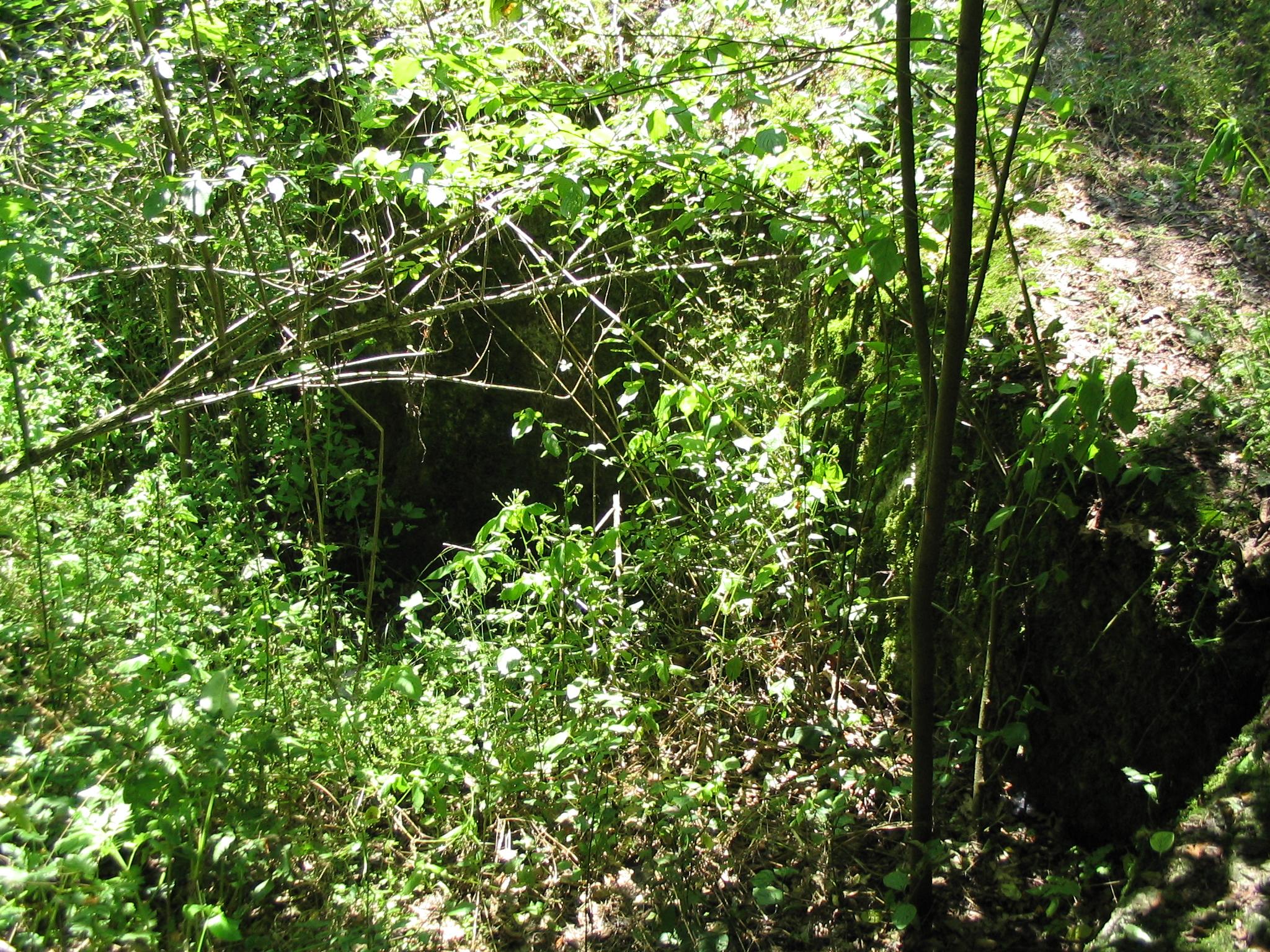 Fort IXa Przy Krzyzu